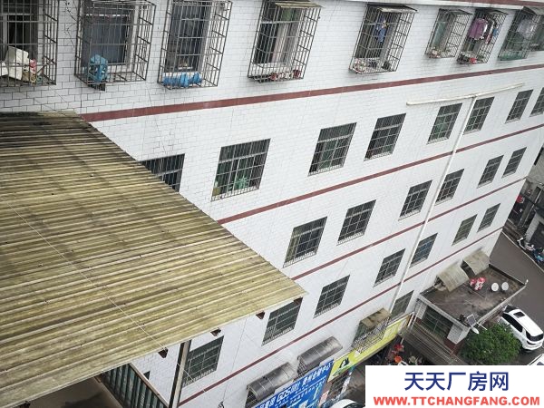 (出租) 數博大道旁金伍路65號一樓540平，420平.370平招租