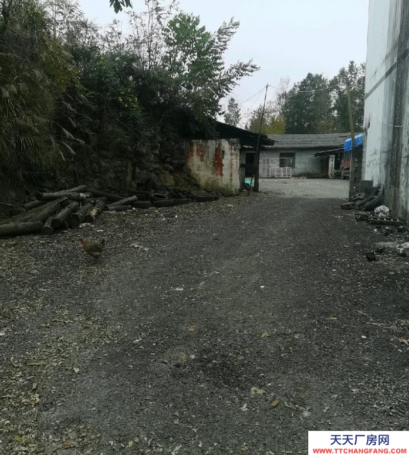 (出售)德江 一個廠房帶一個300平的。共1350平。