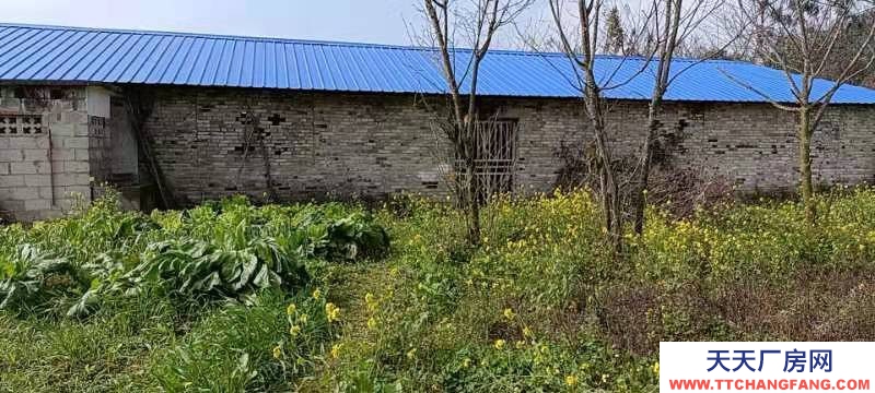 (出租) 貴州貞豐大碑鄉(xiāng)者寸組沿公路廠房住房和場(chǎng)地出租