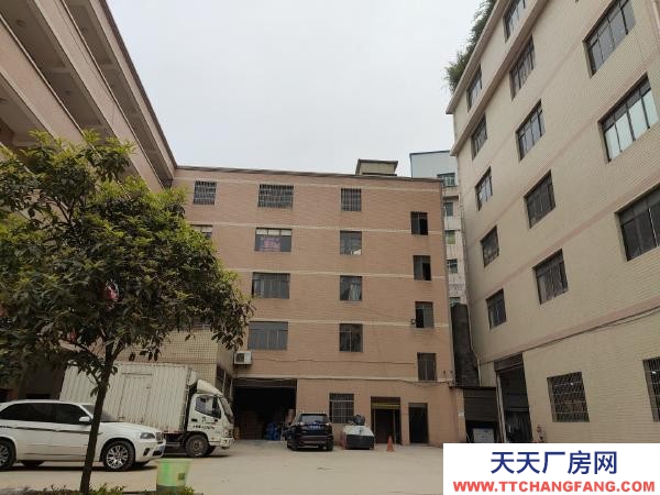 云巖金關(guān)數(shù)博大道旁一樓1000平300平價格面談