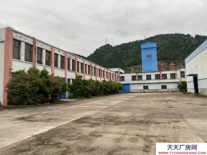 萬山 獨(dú)立廠房出租 4000平米 可分租 帶壩子