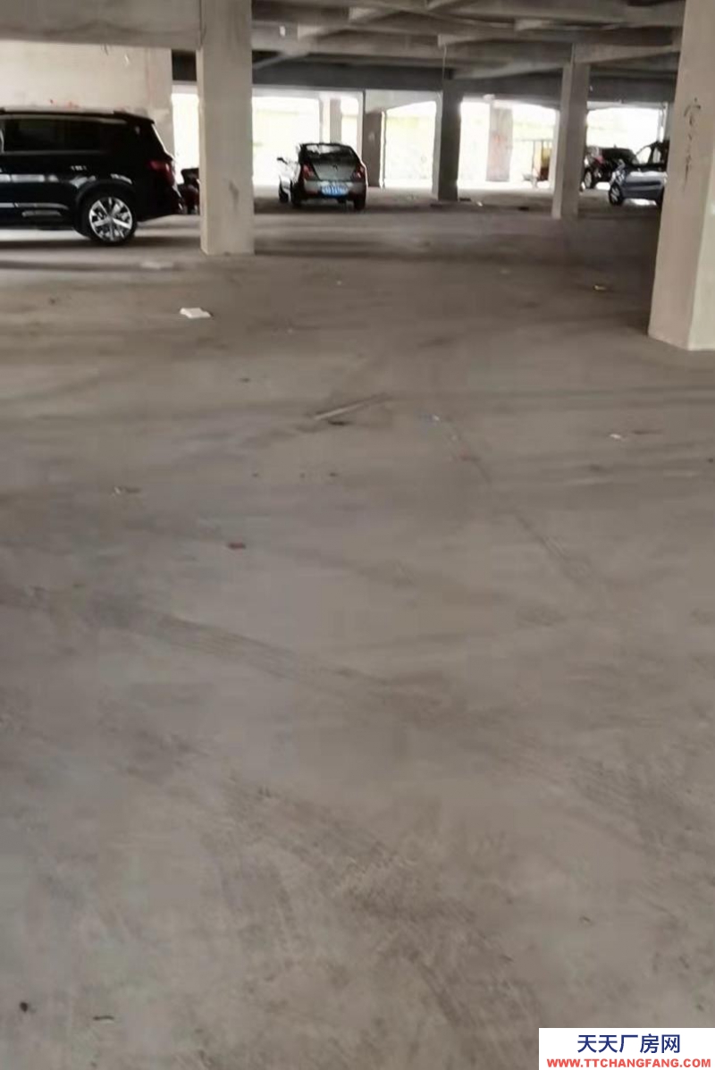 (出租) 倉庫地址紅橋新區(qū)雙龍六層半