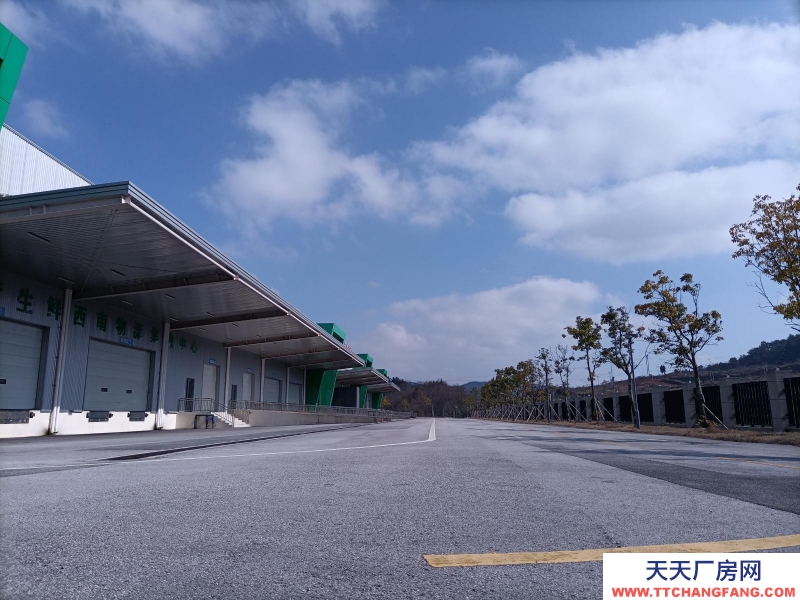 出租萬山鎮(zhèn) 蘇高新供應鏈示范基地廠房