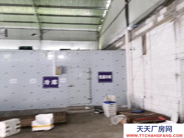 (出售) 交通局便利，自來水，三相動力電直通廠房