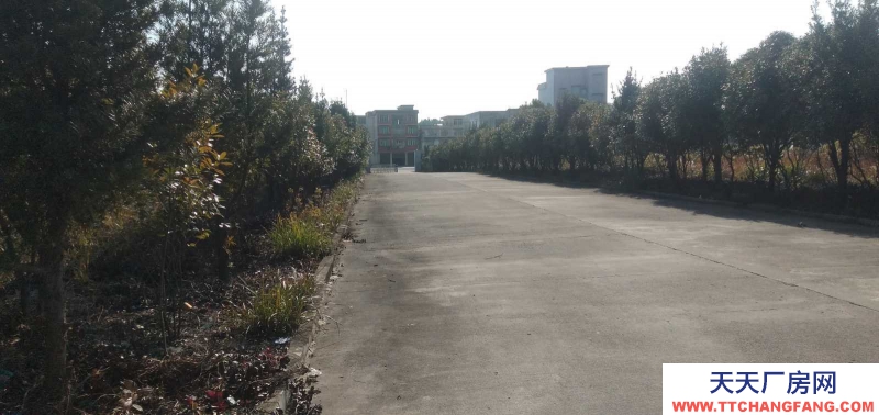 3100平米鋼構廠房倉庫招租