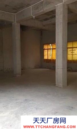 (出租) 獨棟私人兩層可做倉庫/廠房(條件便利離縣城車程5)