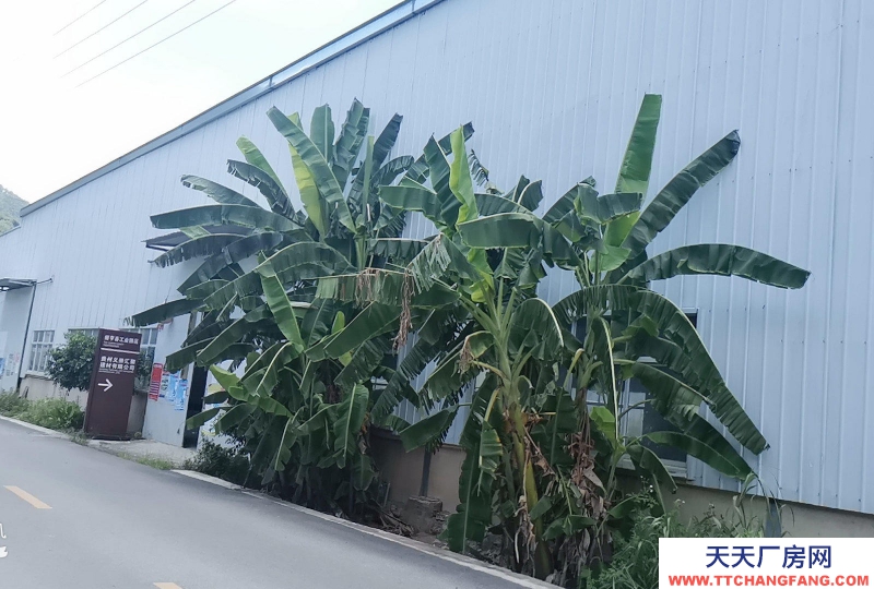 生產廠房出租出售，價格可談