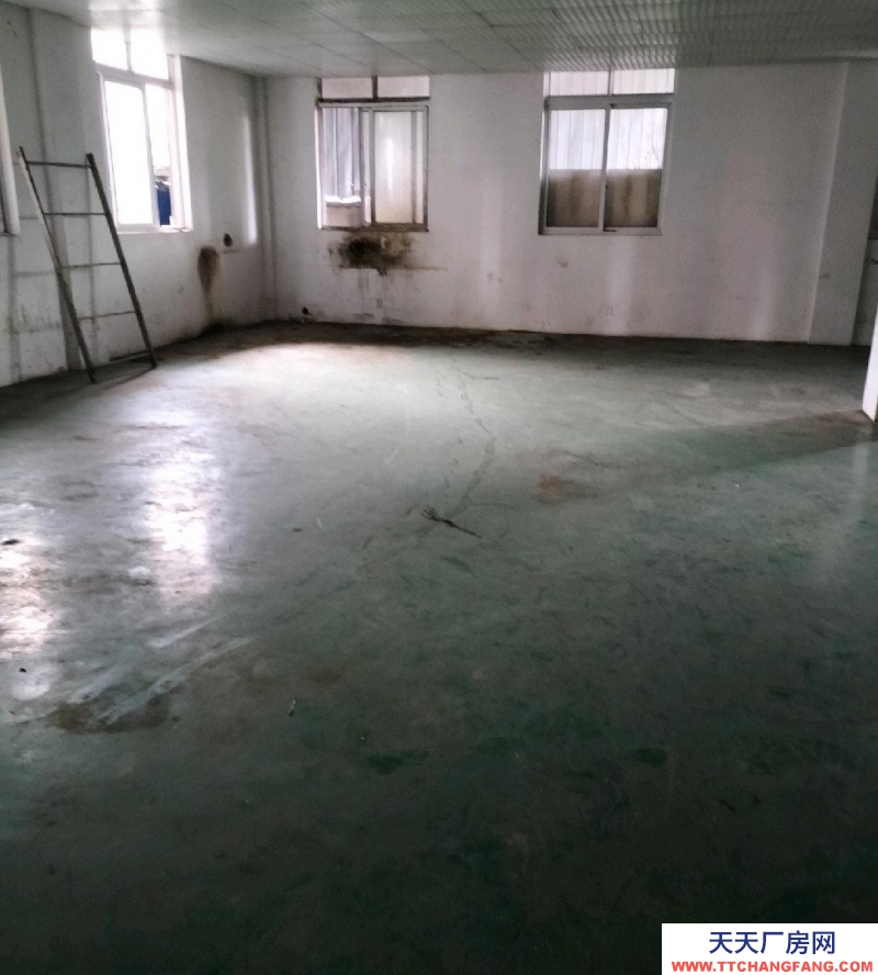 (出租) 自交建廠房，分割出租