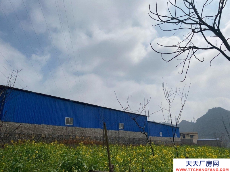 (出租) 六枝路喜工業園區附近 廠房倉庫 2800平米