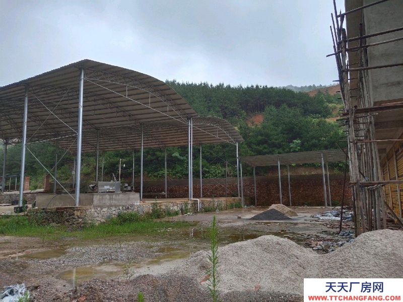 (出售) 鄉村振興好地方，涉農項目建新房