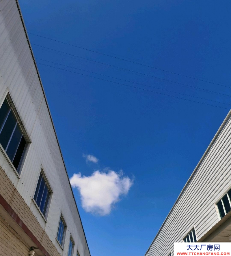 (出售) 土地面積7129，建筑面積5000平方，帶不動產證