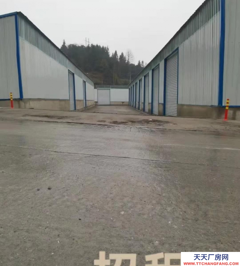 (出租) 都勻沙壩新建標(biāo)準(zhǔn)倉儲，交通便利