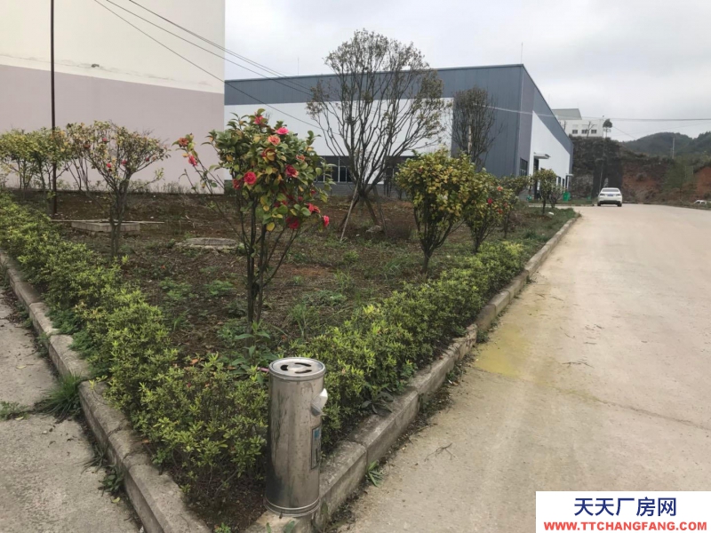 (出租) 都勻市洛邦工業園標準廠房出租