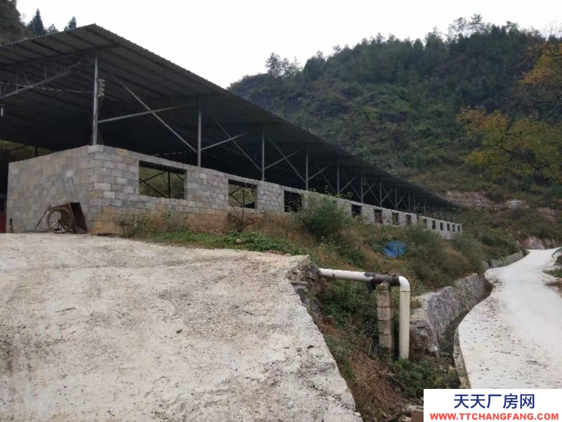 (出租) 養(yǎng)牛場200頭規(guī)模，辦公宿舍樓一棟，通路牧場100畝