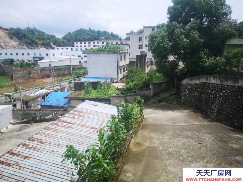 價格實惠，環(huán)境好，視野廣闊，適合做倉庫，辦公，各種企業(yè)生產(chǎn)。