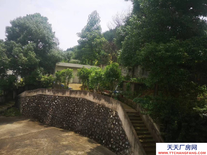 價格實惠，環(huán)境好，視野廣闊，適合做倉庫，辦公，各種企業(yè)生產(chǎn)。