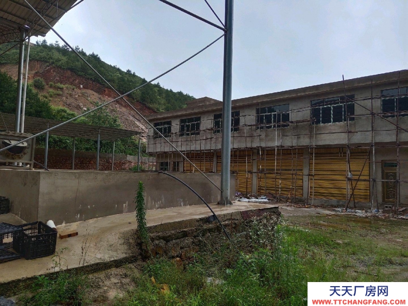 鄉村振興好地方,涉農項目建新房