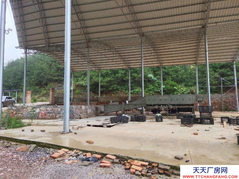 鄉村振興好地方,涉農項目建新房