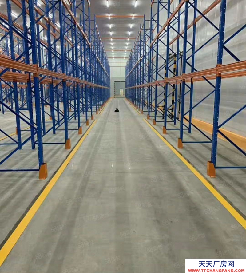 (出租) 出租凍庫冷庫冷藏庫5萬平租3年免1年可分零