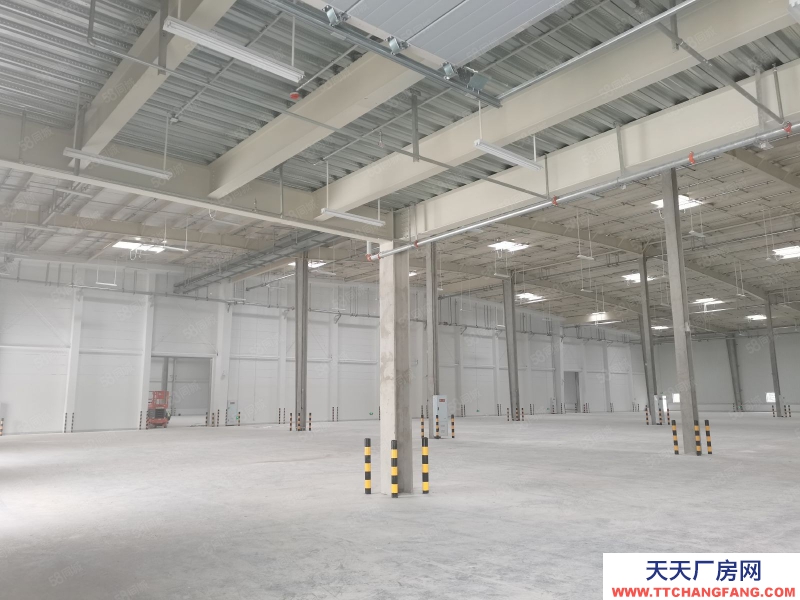 (出租) 沙坪壩大學城8500平標準倉庫出租