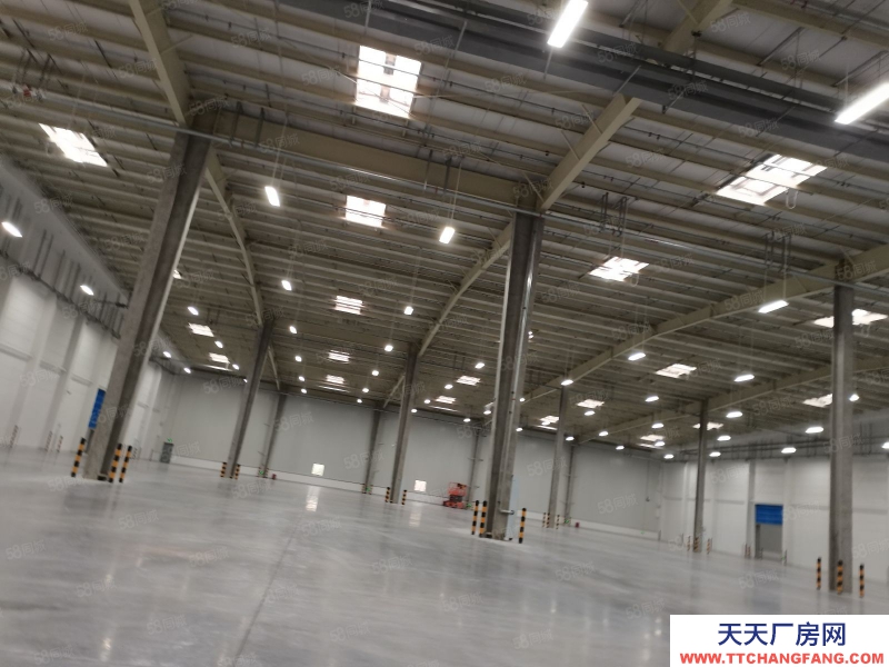 (出租) 沙坪壩大學城8500平標準倉庫出租