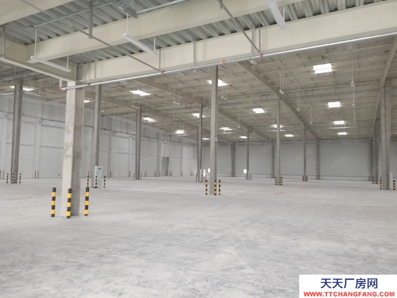 (出租) 沙坪壩大學城8500平標準倉庫出租