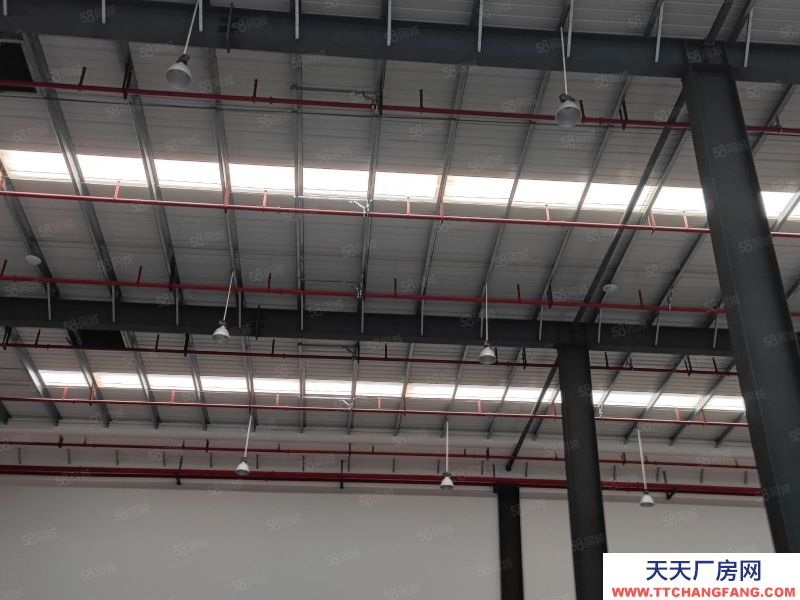 (出租) 沙坪壩區土主國際物流園區丙一級多功能公共倉招租