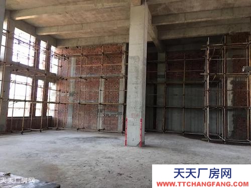 長沙市岳麓區準現房！長沙高新區精品小獨棟，可研發生產辦公倉儲多功能使用