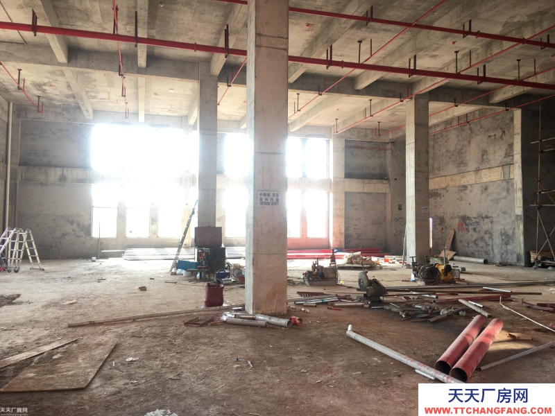 長沙市岳麓區含浦300-5000平標準廠房出租