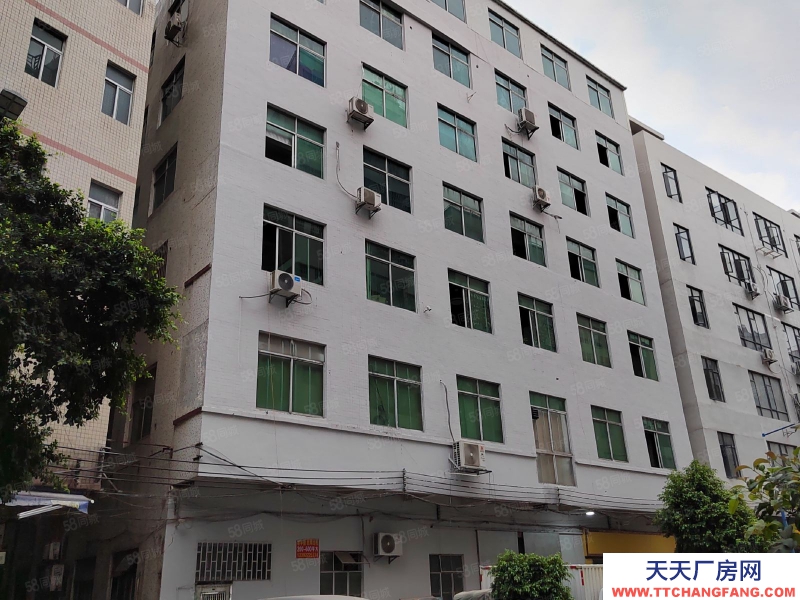 (出租)廣州白云房東直租嘉禾望崗106國(guó)道邊電梯550平方廠房