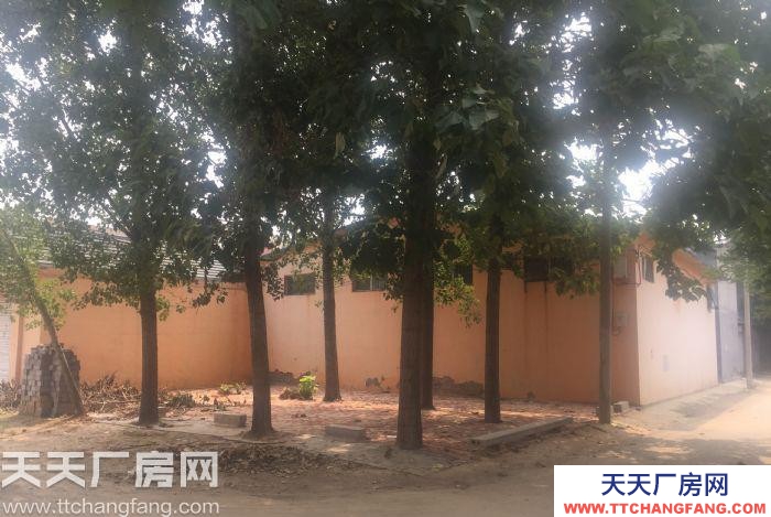 濟南歷城周邊?省道旁?廠房?800平米?倉庫干凈?可生產