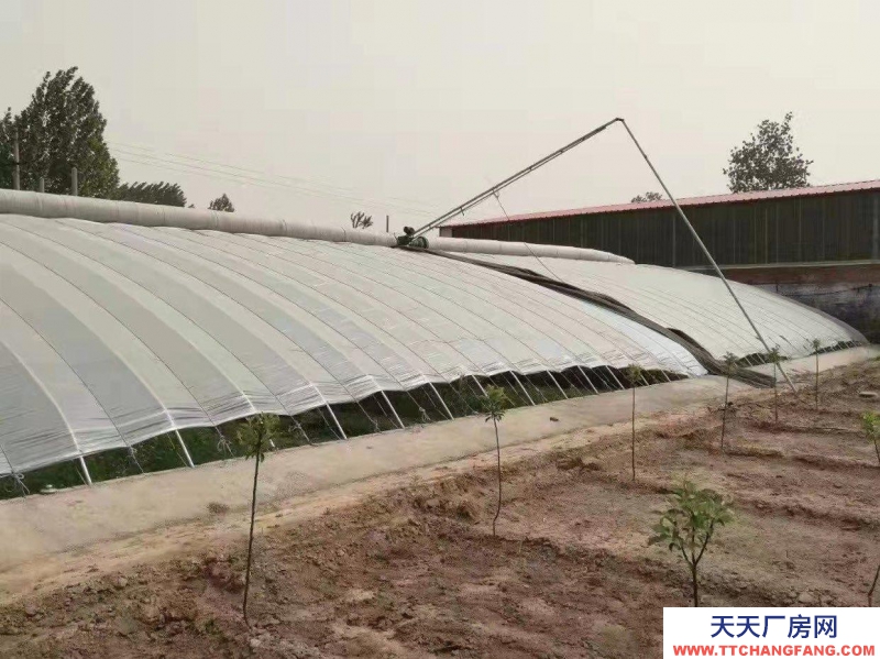 石家莊長安溫室大棚，果樹園，羊圈牛棚雞舍等