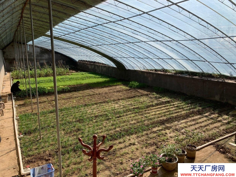 石家莊長安溫室大棚,果樹園,羊圈牛棚雞舍等