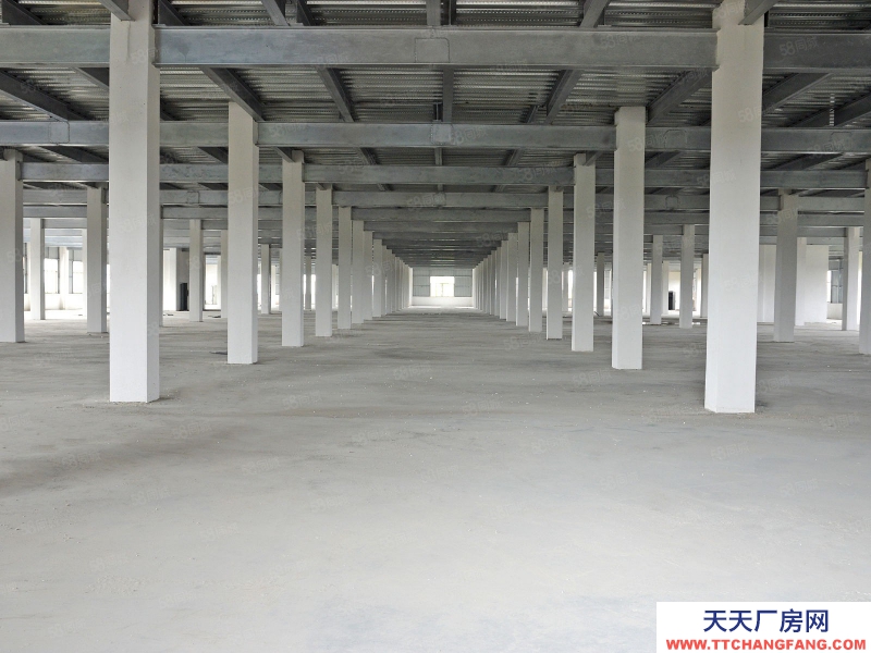 (出租) 廣州白云高標倉外貿裝柜大貨臨租，送免租期，隨租隨退