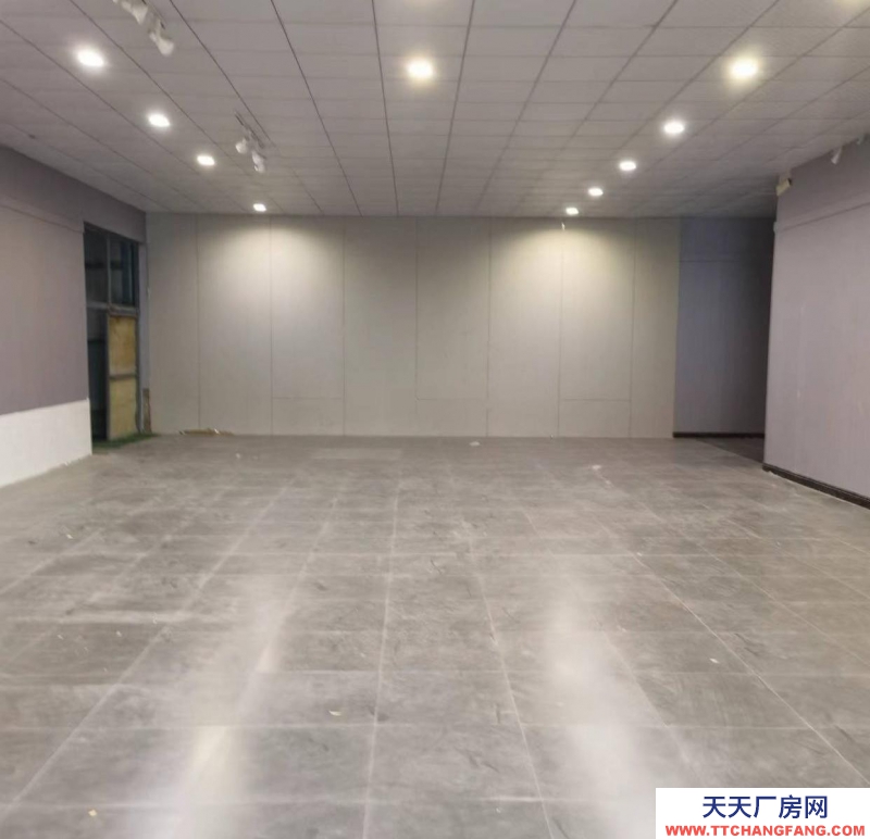 石家莊長(zhǎng)安【460平可分割】精裝裝修倉(cāng)庫(kù) 直播間庫(kù)房 可辦公 倉(cāng)儲(chǔ)