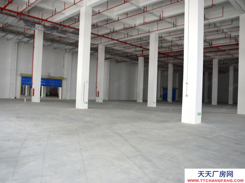 (出租) 廣州白云丙二類物流倉儲，獨院7萬方倉庫，分割出租，租期靈活提供托管