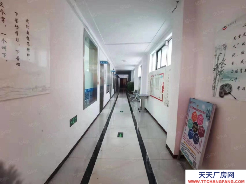 石家莊橋西區(qū) 新華西路 辦公樓 獨院 出租