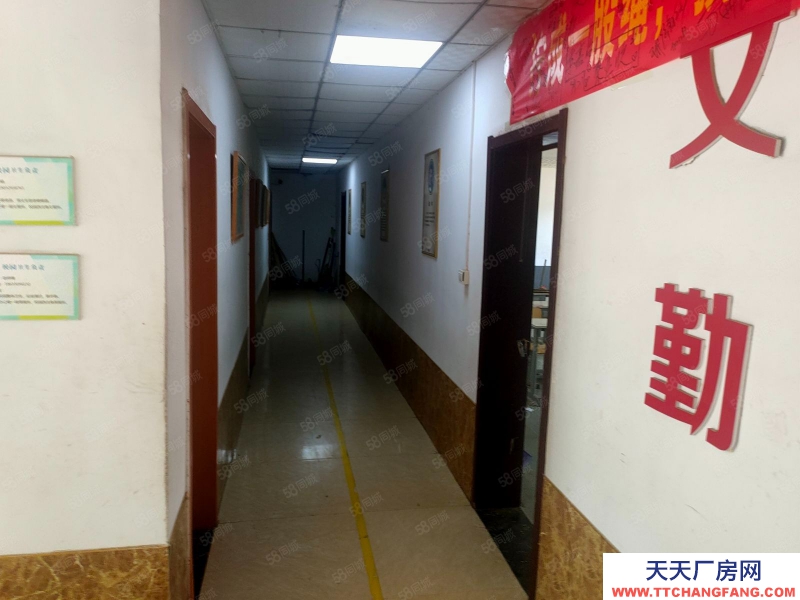 石家莊橋西安聯青年城西門,獨院3500平出租,適合培訓學校,辦公廠房等