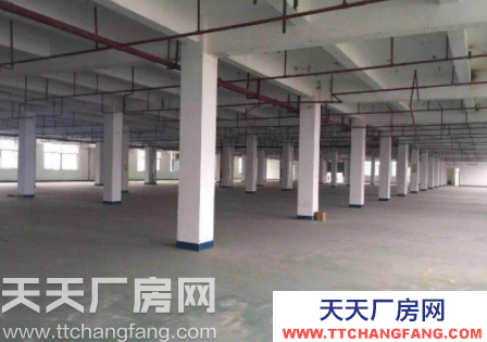 (出租) 個(gè)人 福州倉山區(qū)高旺路 吉諾汽車集團(tuán) 廠房優(yōu)惠出租