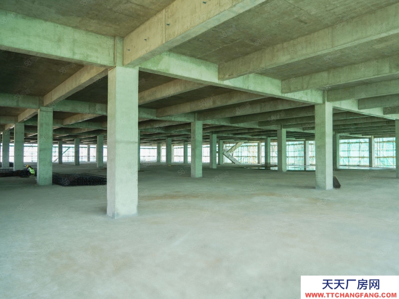 (出售) 廣東省重點園區,政府關懷支持定制廠房分層出紅本證!