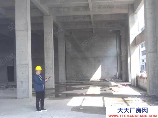 武漢江岸(出售) 雄新產(chǎn)業(yè)園即將交房，帶單獨衛(wèi)生間和電梯，每層可辦證