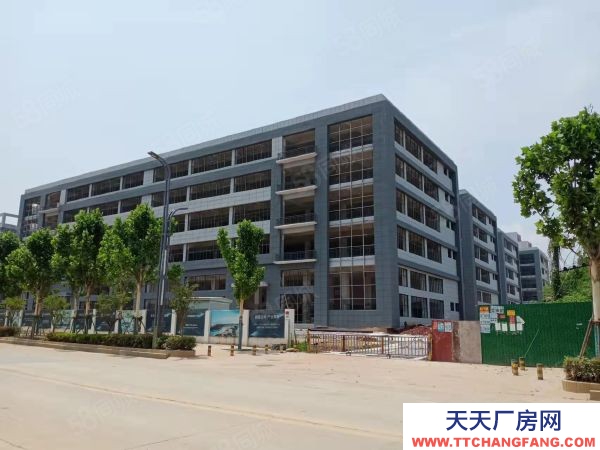 武漢江岸(出售) 雄新產(chǎn)業(yè)園即將交房，帶單獨衛(wèi)生間和電梯，每層可辦證