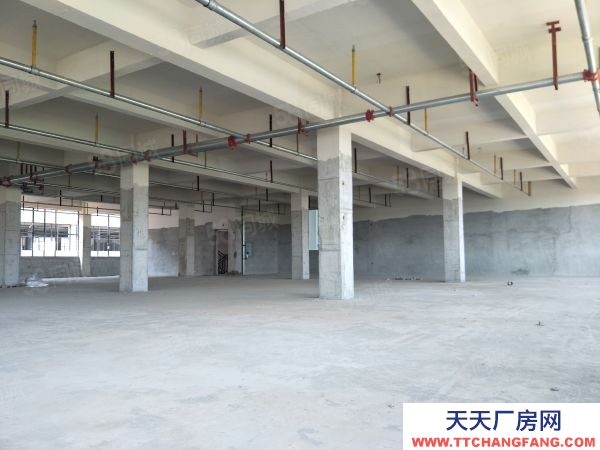 武漢江岸(出售) 雄新產(chǎn)業(yè)園即將交房，帶單獨衛(wèi)生間和電梯，每層可辦證