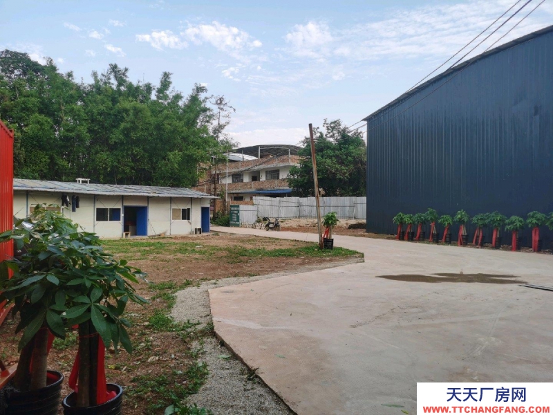 南寧市東村8元一月集體廠房出租