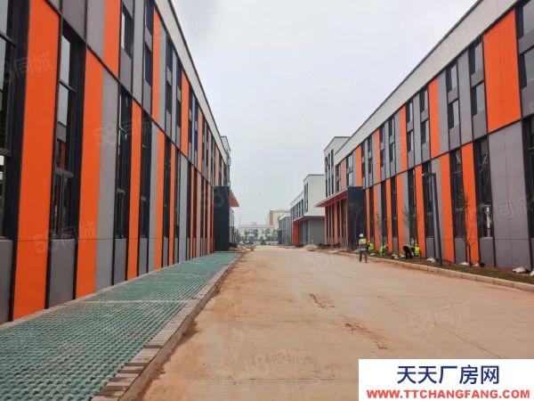 武漢江岸(出售) 長江新區產業新城 獨棟鋼構廠房，層高11米，帶行車