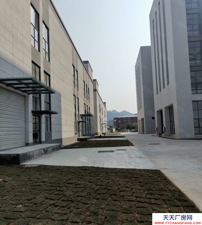 (出租) 福州倉(cāng)山區(qū)房東出租 高新區(qū)6萬平全新廠房招商 框架結(jié)構(gòu)5萬平方,帶卸貨