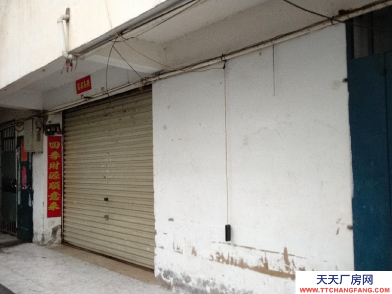 南寧市青秀區出租村集體土地，目前為本人承包管理。