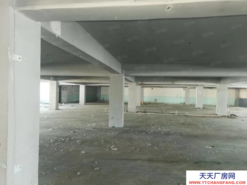 石家莊橋西區 中山西路 石藥附近 倉庫出租