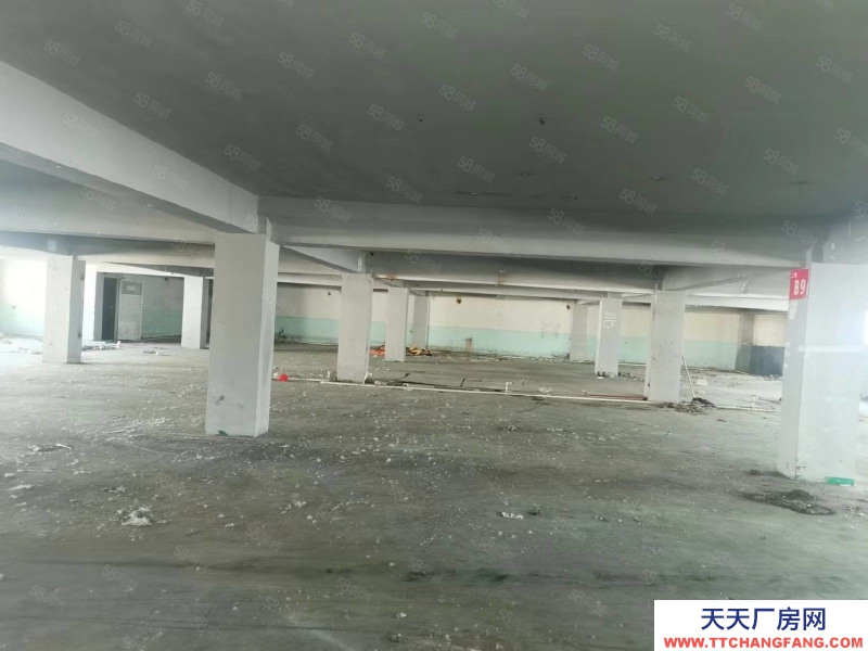 石家莊橋西區 中山西路 石藥附近 倉庫出租