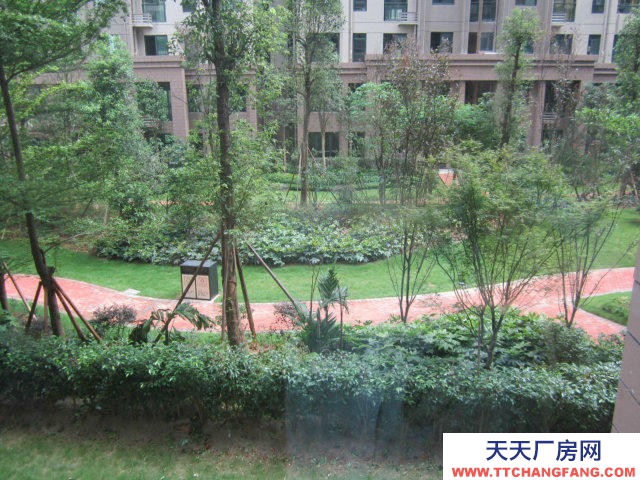 南寧市青秀區(qū)鳳嶺北出租榮和大地二組團(tuán)3-B-202房